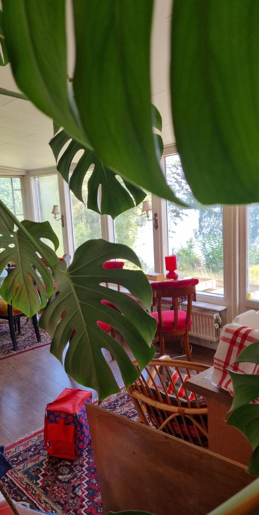 Hyr Rum Pa Oestbo Vittsjö Exteriör bild